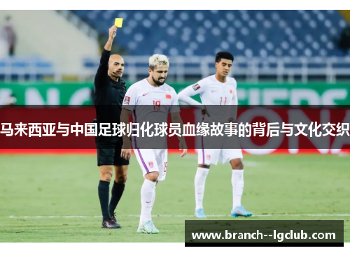 马来西亚与中国足球归化球员血缘故事的背后与文化交织 马来西亚与中国足球归化球员血缘故事的背后与文化交织