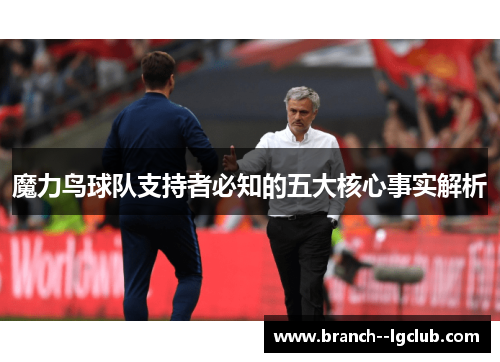 魔力鸟球队支持者必知的五大核心事实解析 魔力鸟球队支持者必知的五大核心事实解析