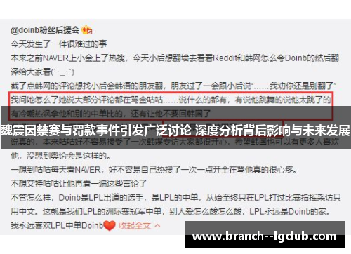 魏震因禁赛与罚款事件引发广泛讨论 深度分析背后影响与未来发展