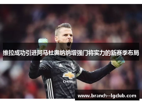 维拉成功引进阿马杜奥纳纳增强门将实力的新赛季布局