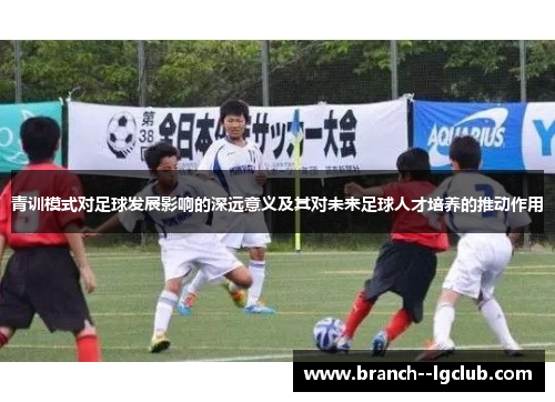 青训模式对足球发展影响的深远意义及其对未来足球人才培养的推动作用