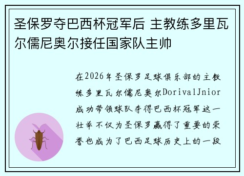 圣保罗夺巴西杯冠军后 主教练多里瓦尔儒尼奥尔接任国家队主帅