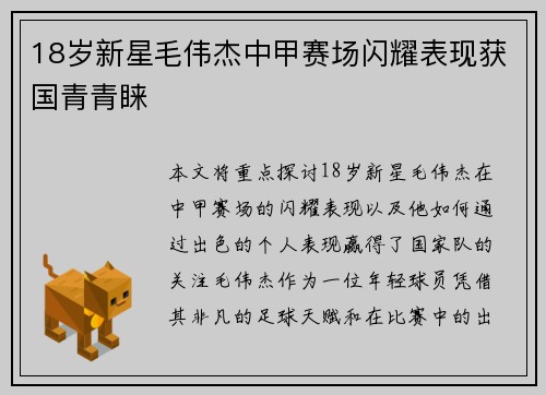 18岁新星毛伟杰中甲赛场闪耀表现获国青青睐